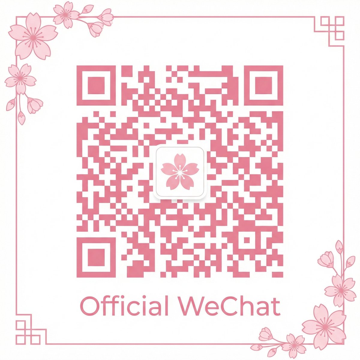 校花公众号二维码